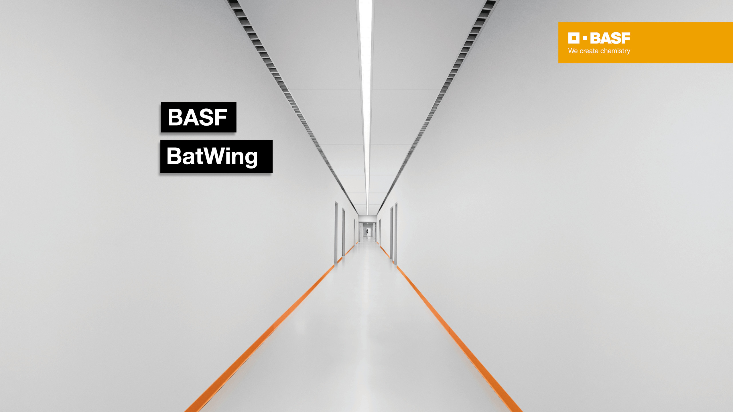 BASF Lighting Films BatWing